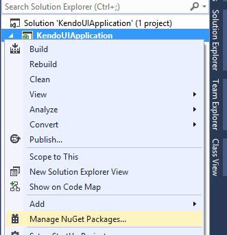 Managing NuGet Package